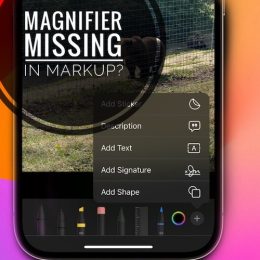magnifier not available iOS 17 issue
