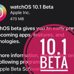 watchos 10.1 beta update