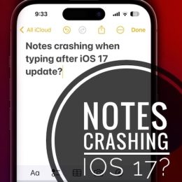 notes crashing on iphone in ios 17