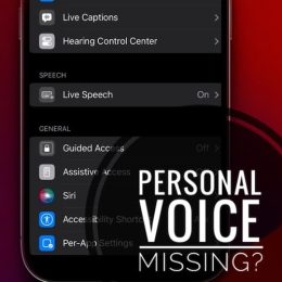 personal voice not showing up in settings ios 17