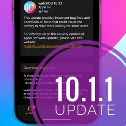 watchos 10.1.1 release notes